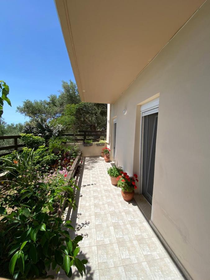 Koundouros Home AmigdhalokeFálion Zewnętrze zdjęcie